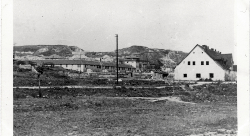 W związku ze zbliżającym się Międzynarodowym Dniem Pamięci o Ofiarach Holokaustu, Muzeum -Miejsce Pamięci KL Plaszow przypomina o 80. rocznicy likwidacji niemieckiego obozu koncentracyjnego Plaszow i jego historii 