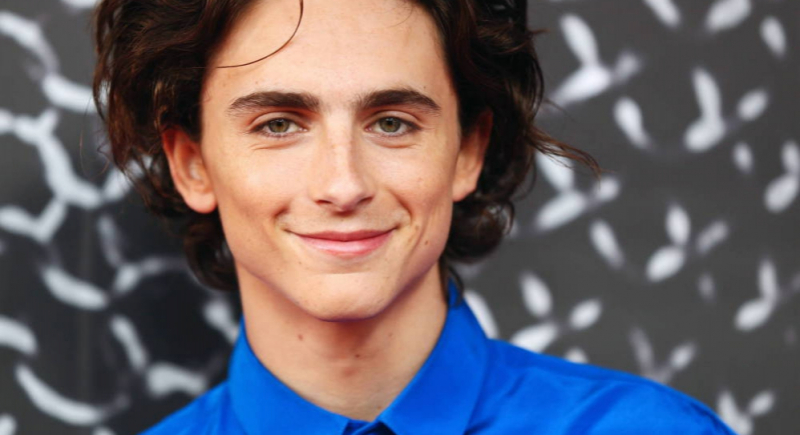 Timothee Chalamet jako Bob Dylan w zwiastunie filmu „A Complete Unknown”