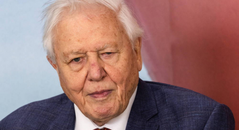 Sir David Attenborough po raz pierwszy zrealizował program o rodzimej przyrodzie